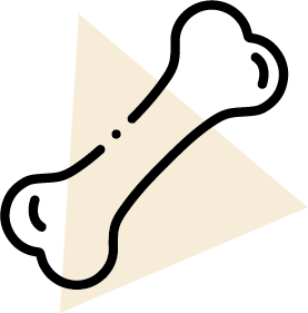 Bone