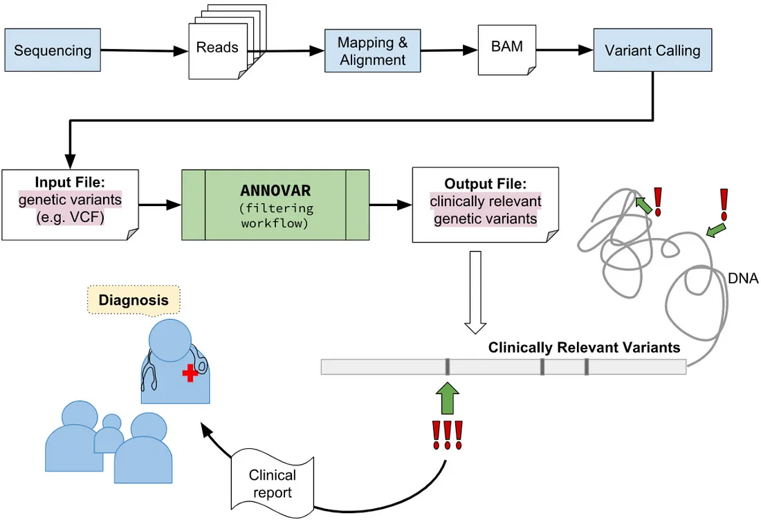 원본 이미지가 없음.