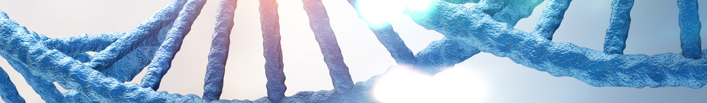 Optical 배경이미지