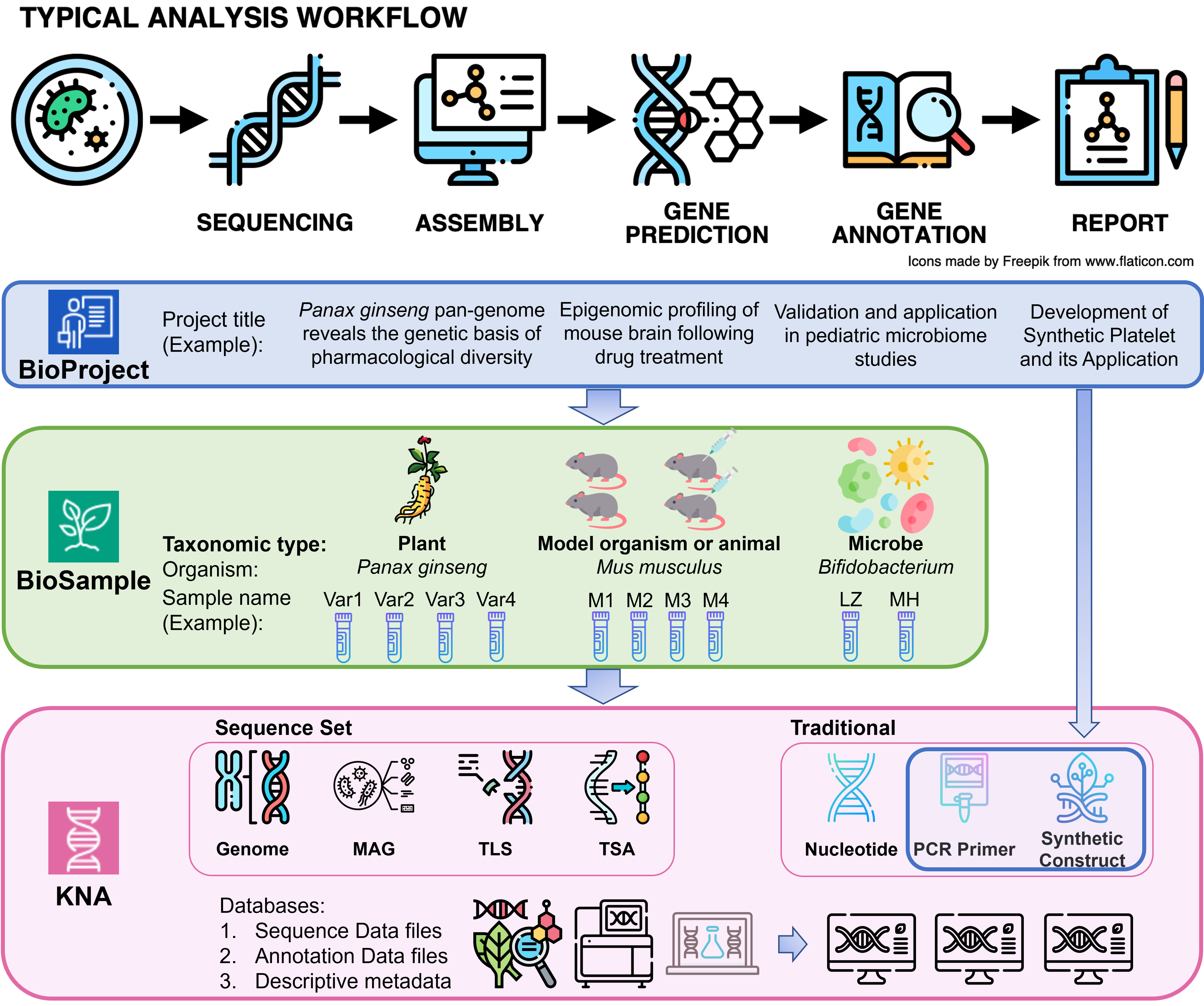 Typical analysis workflow